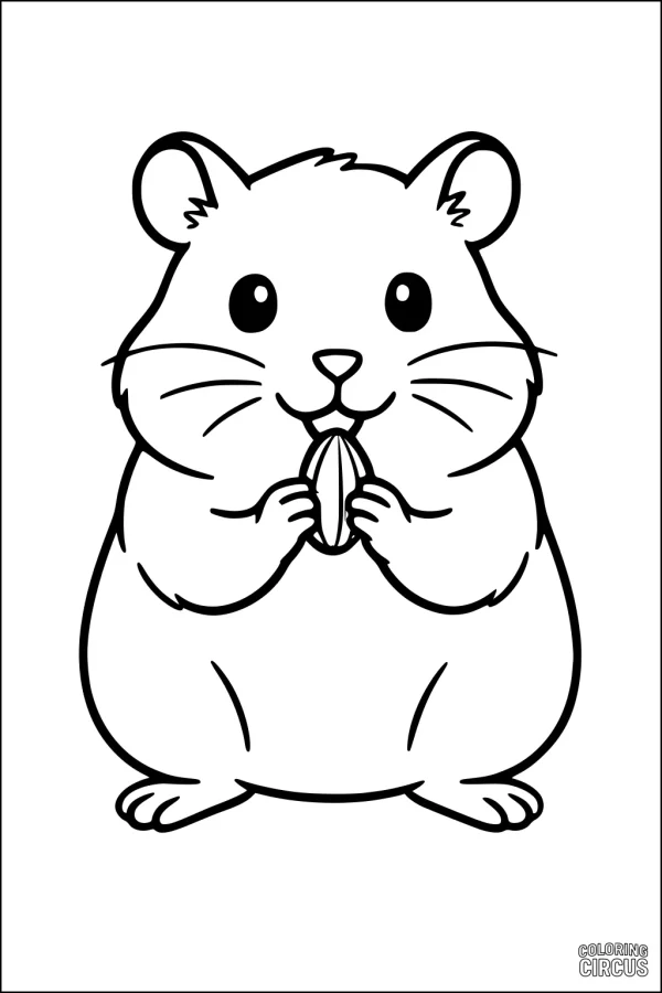 Coloring page of a cute hamster holding a snack with big eyes and a round fluffy body