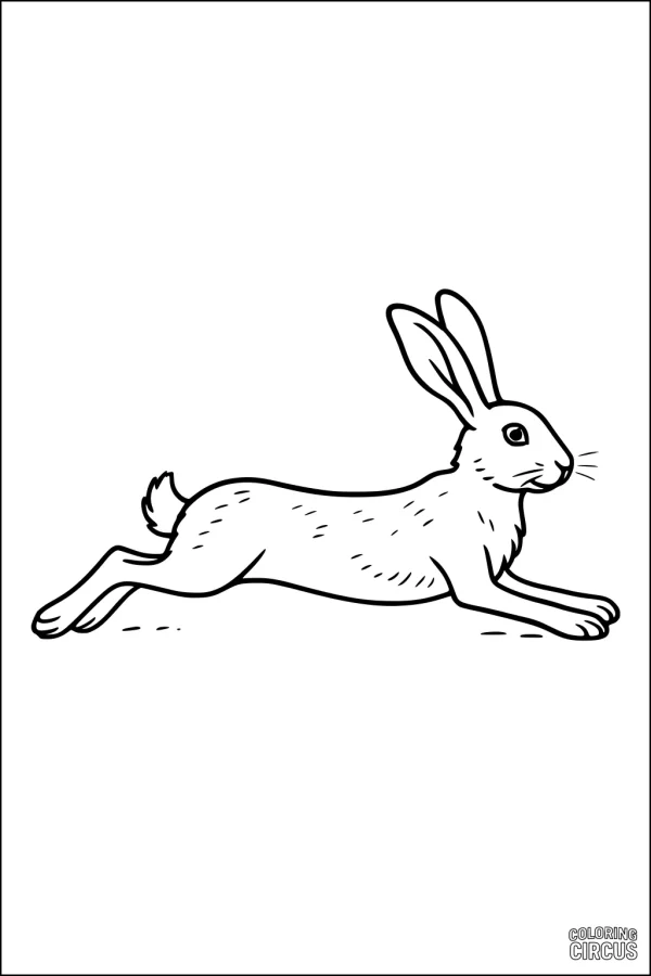 Coloring page of a lively hare running with long ears in a wide open space
