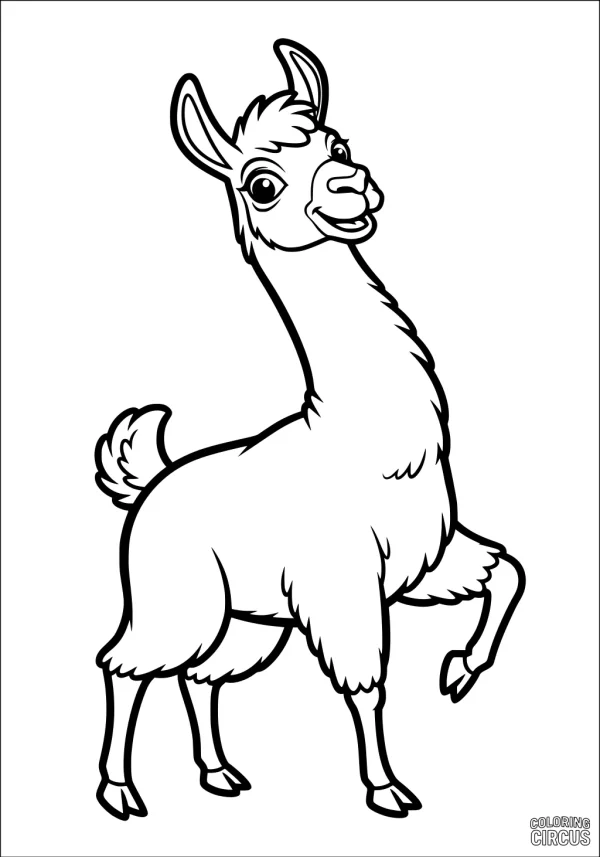Coloring page featuring a cheerful cartoon llama standing with a raised hoof