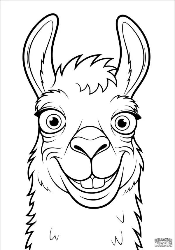 Coloring page showing a cute smiling llama head with big eyes and fluffy ears