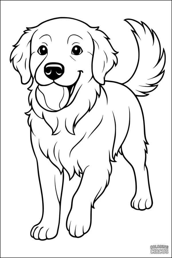 Coloring page of a smiling friendly dog with a fluffy tail