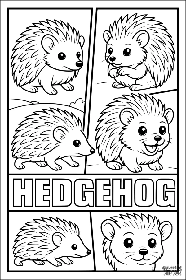 Coloring page featuring five cute cartoon hedgehogs with playful expressions in separate comic panels and the word HEDGEHOG in bold letters.