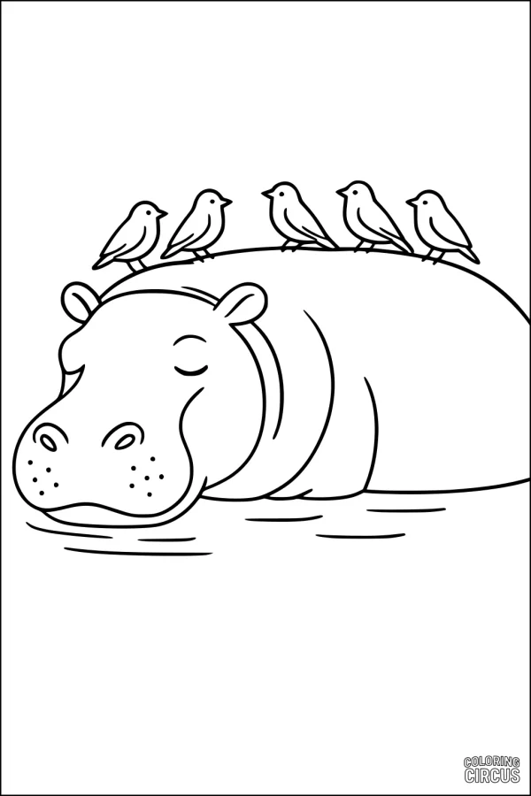 Coloring page of a sleeping hippopotamus with five birds perched on its back