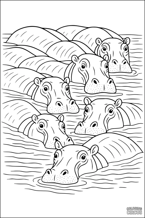 Coloring page showing several hippopotamuses relaxing together in a river