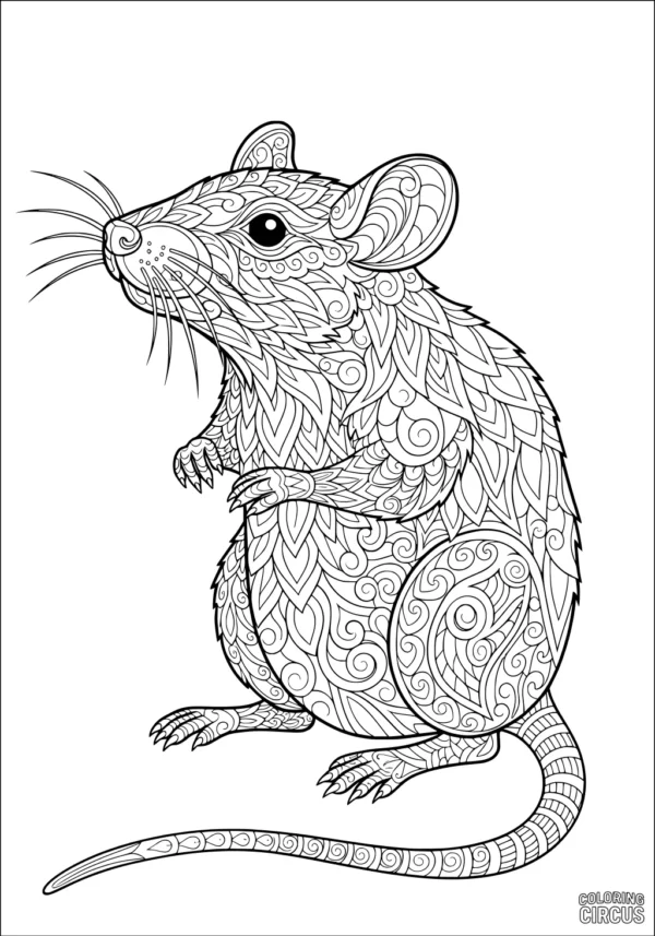 Coloring page featuring an intricately patterned rat with swirls and leaf motifs