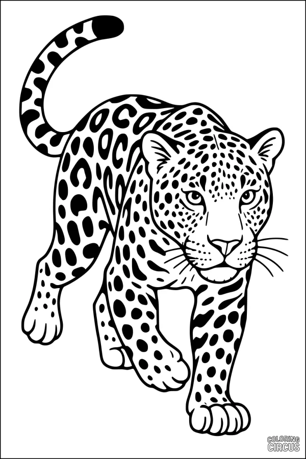 Coloring page of a jaguar with spotted fur and alert eyes walking forward