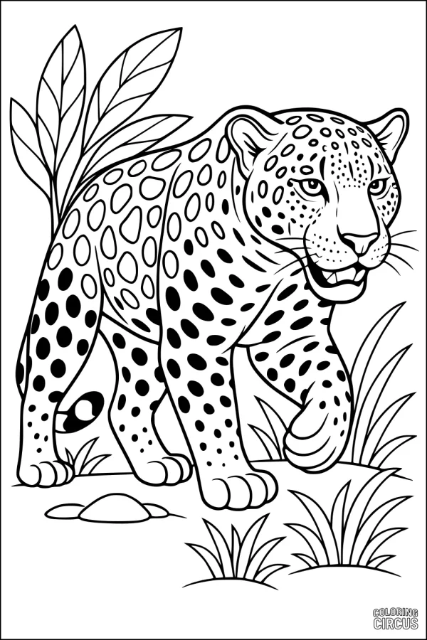 Coloring page of a jaguar walking through grass and leaves
