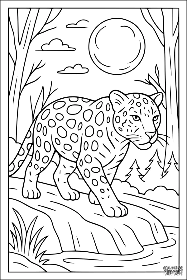 Coloring page showing a jaguar with spots walking on rocks in a forest under a full moon