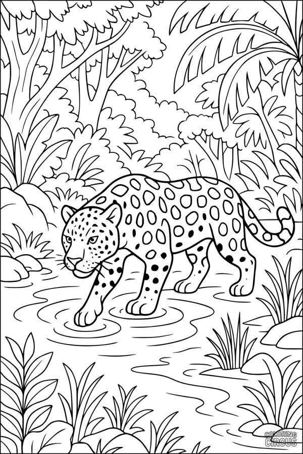 Coloring page featuring a jaguar walking through a rainforest stream with lush tropical plants and trees