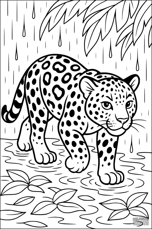 Coloring page of a jaguar walking through puddles in a rainy rainforest with leafy plants