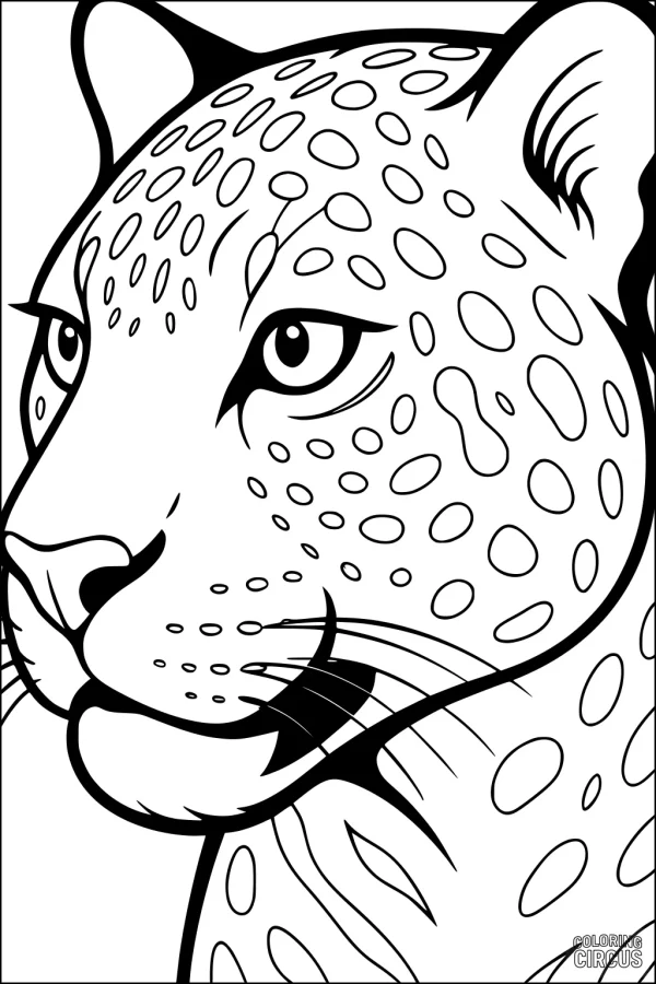 Coloring page of a jaguar's face with detailed spots and expressive eyes