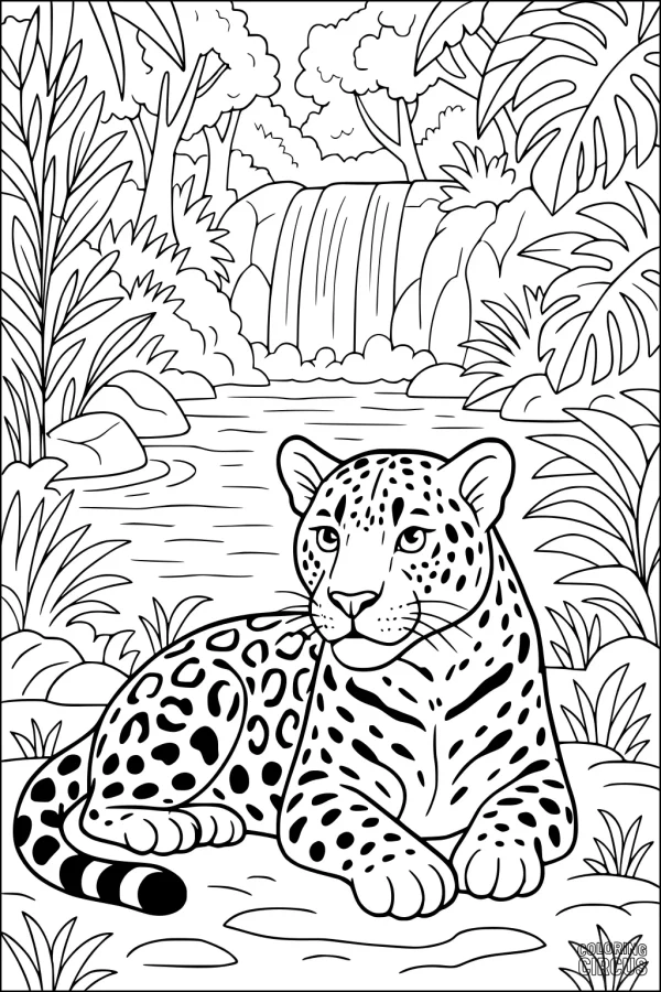 Coloring page of a jaguar relaxing beside a waterfall in a lush jungle with tropical plants and trees