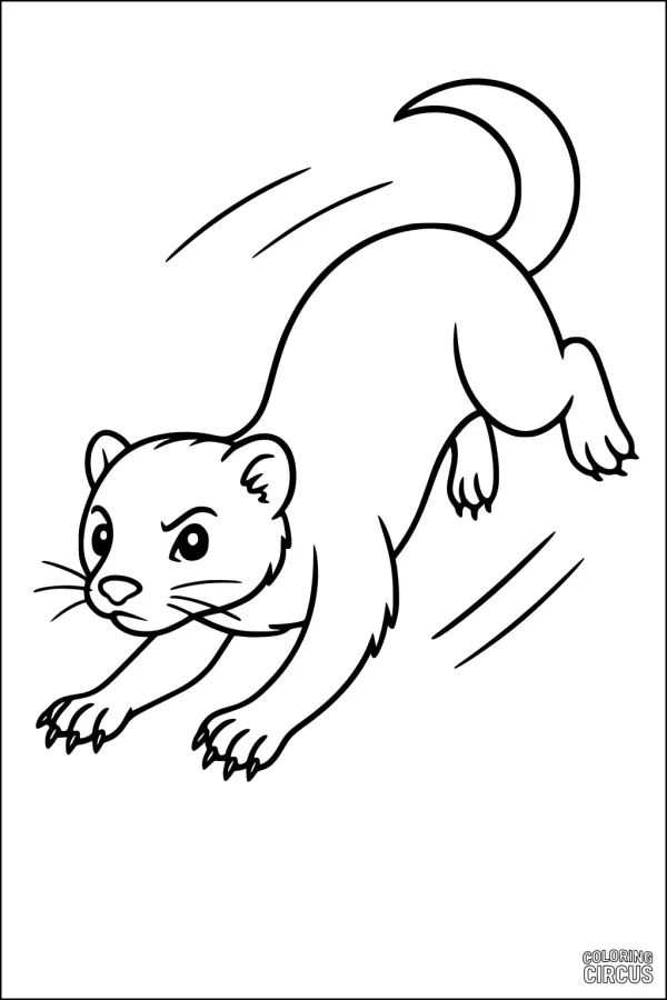 Coloring page of a playful ferret leaping forward with expressive face and outstretched paws