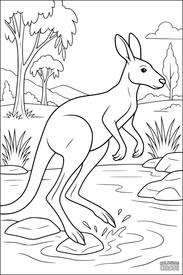 Coloring page featuring a kangaroo hopping through a stream in an Australian bush landscape with trees and rocks.