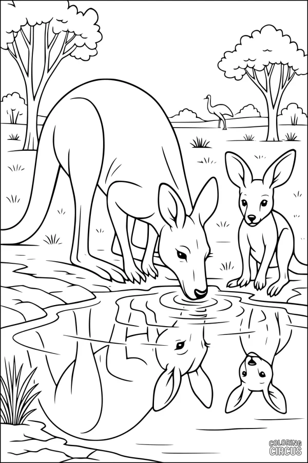 Coloring page shows two kangaroos at a waterhole with their reflections, trees, and an emu in the background