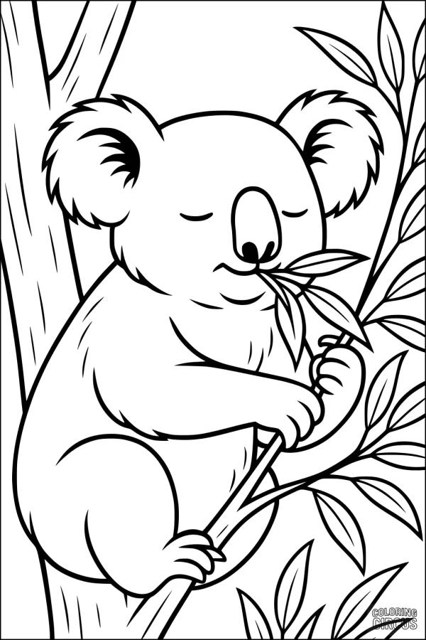 Coloring page of a koala eating leaves in a tree for kids