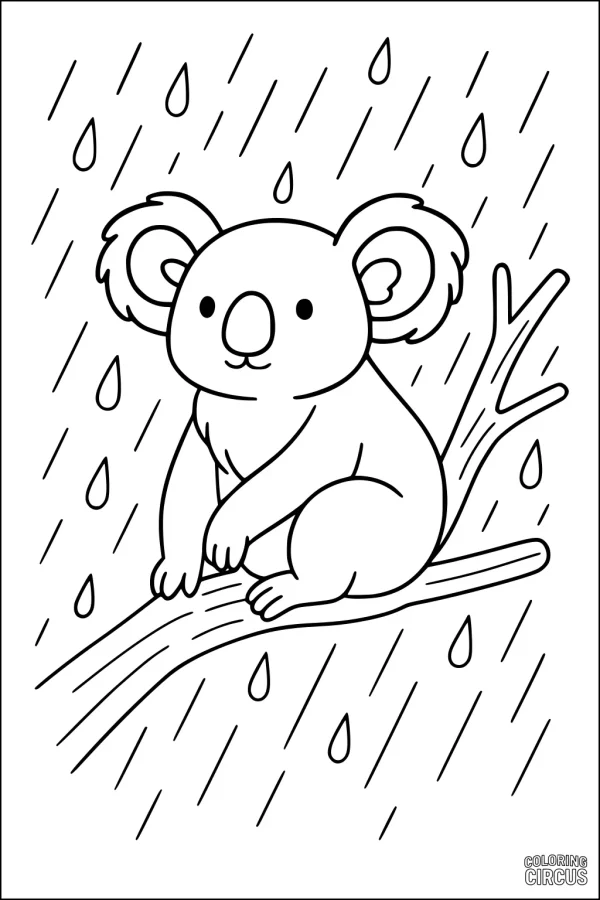 Coloring page showing a cute koala sitting on a tree branch in the rain with large raindrops falling around.