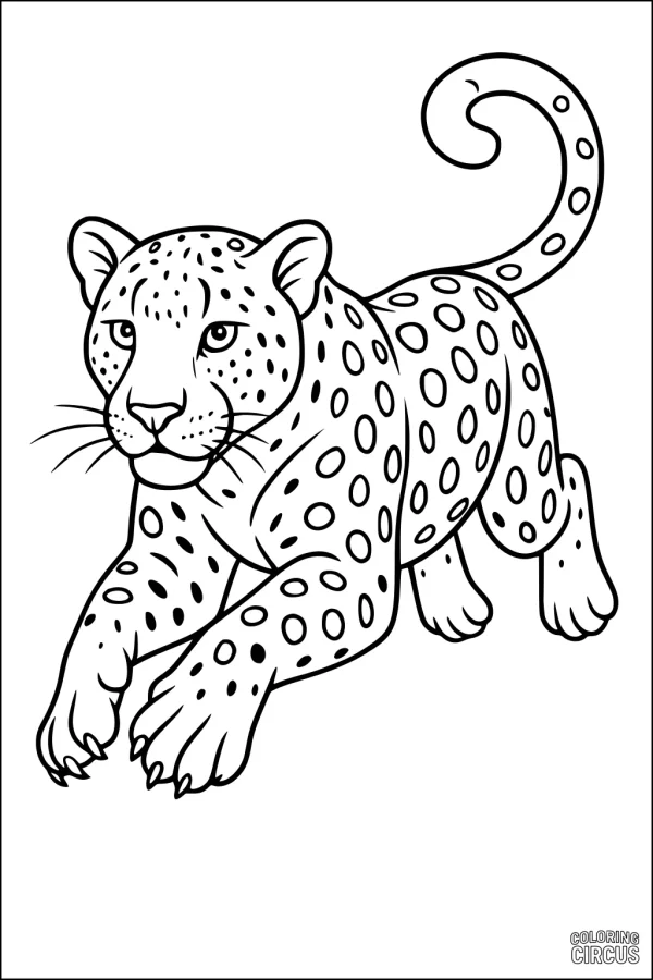 Coloring page featuring a young leopard with spots and a curly tail, standing in a playful pose for children