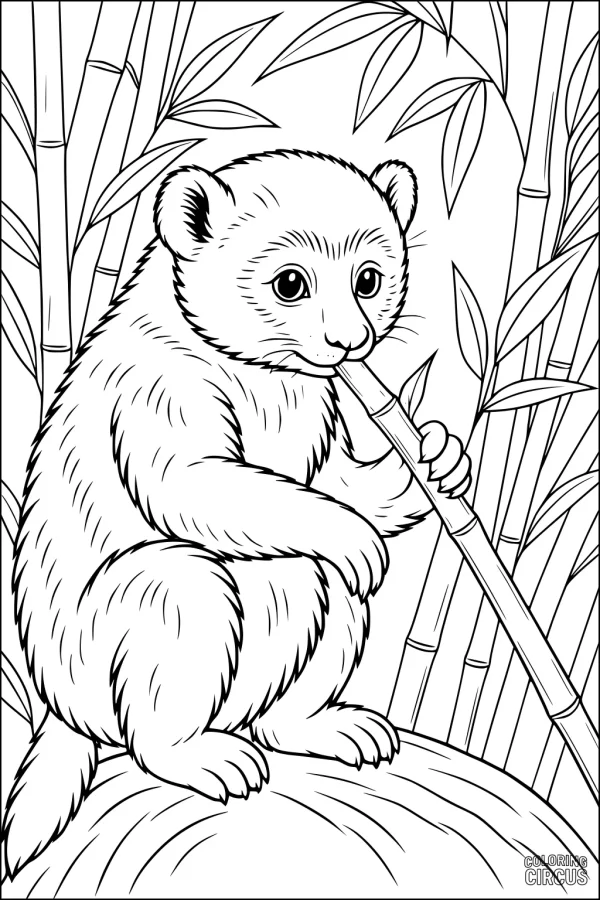 Coloring page of a cute lemur sitting on a rock eating bamboo surrounded by bamboo stalks and leaves
