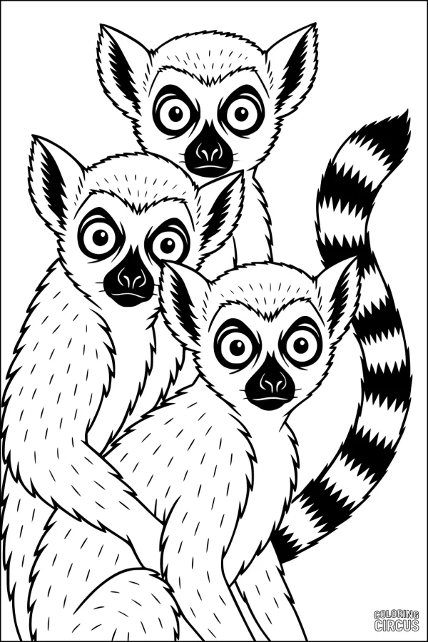 Coloring page with three cartoon lemurs snuggling together, featuring striped tails and large expressive eyes
