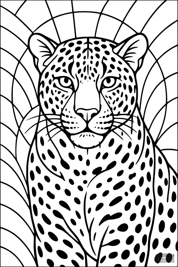 Coloring page featuring a detailed leopard with many spots sitting against a background of curved lines resembling sun rays or jungle canopy, suitable for children and older colorists.