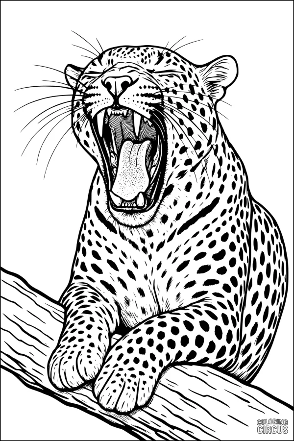 Coloring page of a realistic leopard yawning on a tree branch, featuring detailed spots and facial expression
