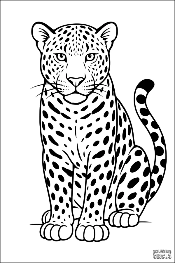 Coloring page of a sitting leopard with spots, friendly for children