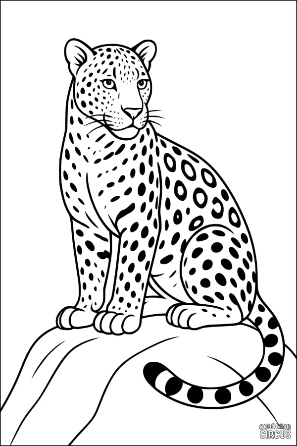 Coloring page featuring a detailed leopard sitting on a rock with prominent spots and a calm expression, suitable for kids.