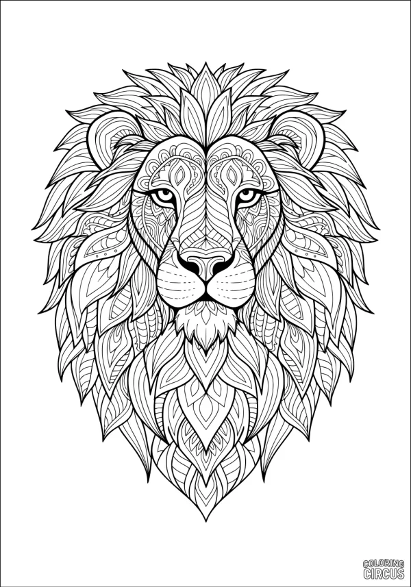 Coloring page detailed lion face with intricate patterned mane for kids and adults