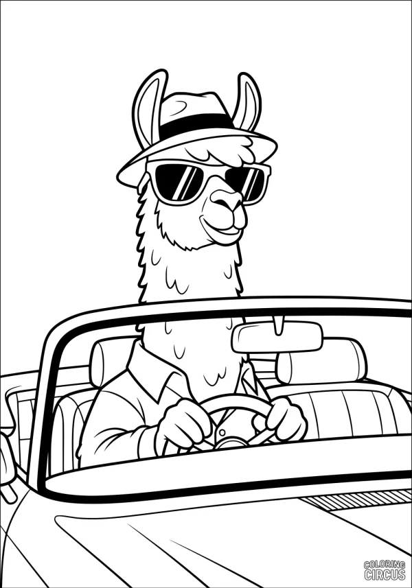 Coloring page featuring a llama wearing sunglasses and a hat, driving a convertible car