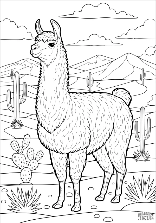 Coloring page featuring a friendly llama standing in a desert with cacti and mountains