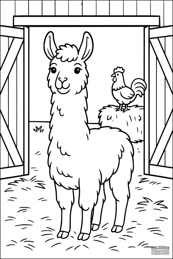 Coloring page of a friendly llama standing at a barn entrance with a rooster on a hay bale, perfect for young children