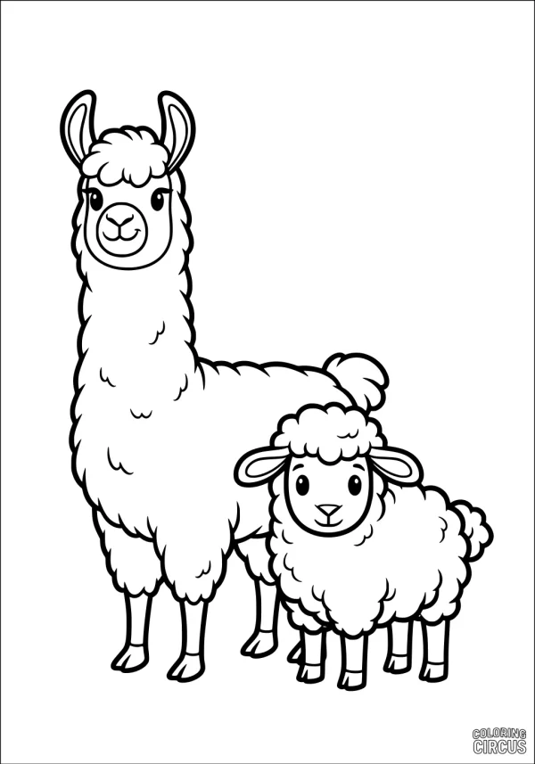 Coloring page featuring a cartoon llama and a fluffy sheep standing together