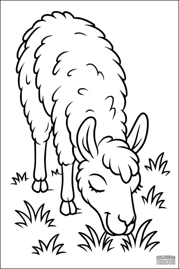 Coloring page of a llama grazing in a grassy meadow, perfect for young children