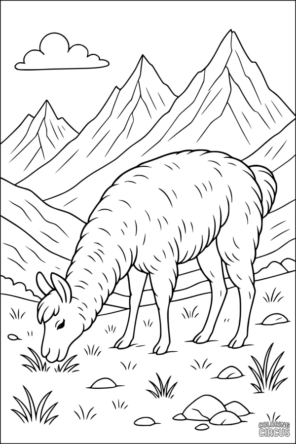Coloring page of a llama eating grass in a mountain landscape with clouds and rocks