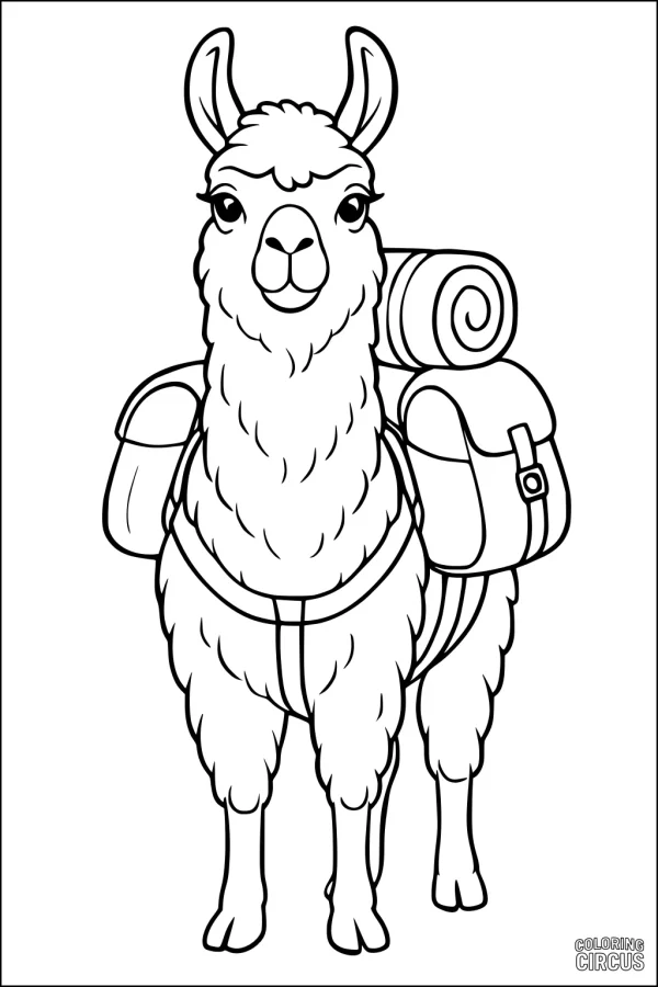 Coloring page featuring a friendly llama with a saddle and rolled blanket, perfect for kids