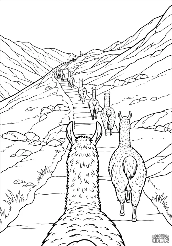 Coloring page showing llamas walking along a mountain path with hills and rocks