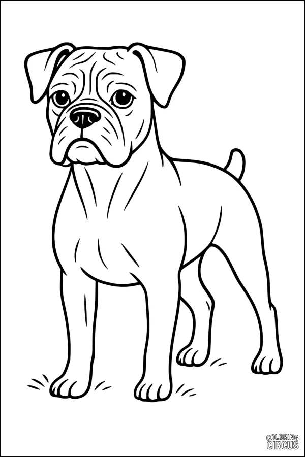 Coloring page of a standing dog with a serious face and short fur, perfect for kids