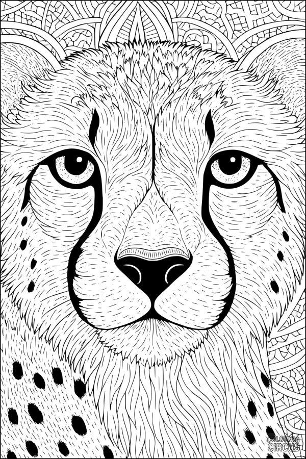 Coloring page close-up of a cheetah face with detailed fur patterns and a decorative mandala background