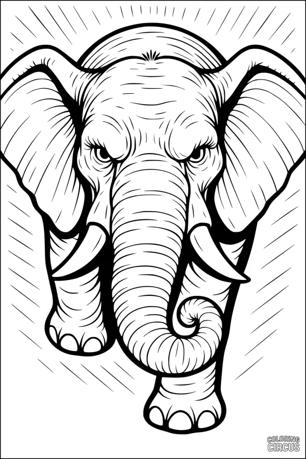 Coloring page of a detailed elephant walking forward with large ears and sunlight rays in background