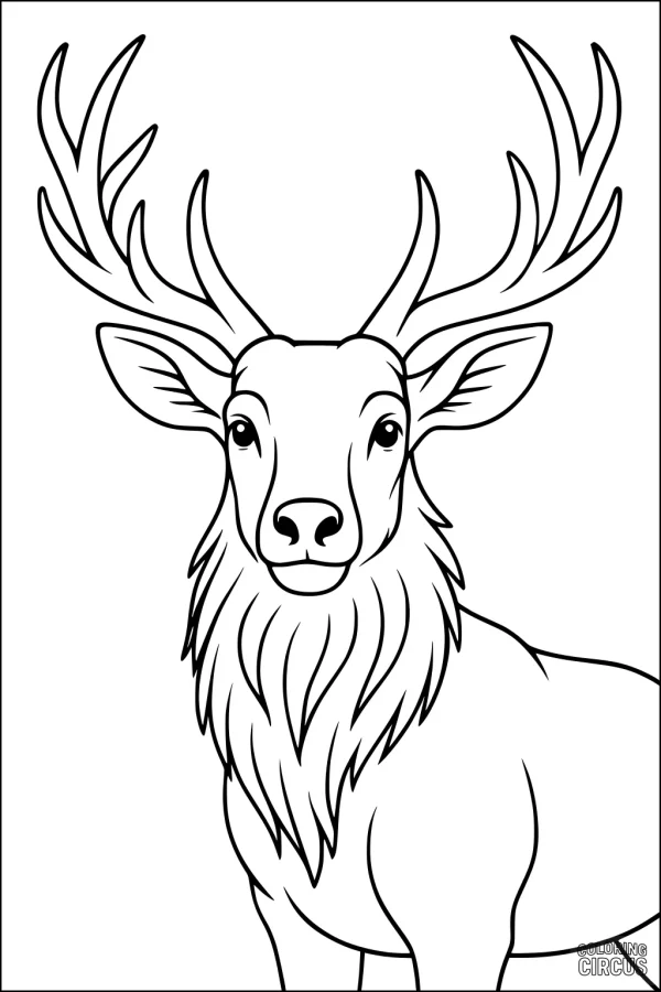 Coloring page elk with large antlers and thick mane buck in woodland scene for children