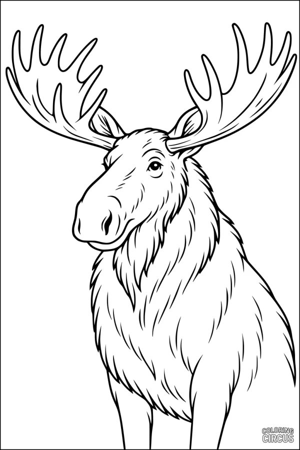 Coloring page of a majestic moose with large antlers
