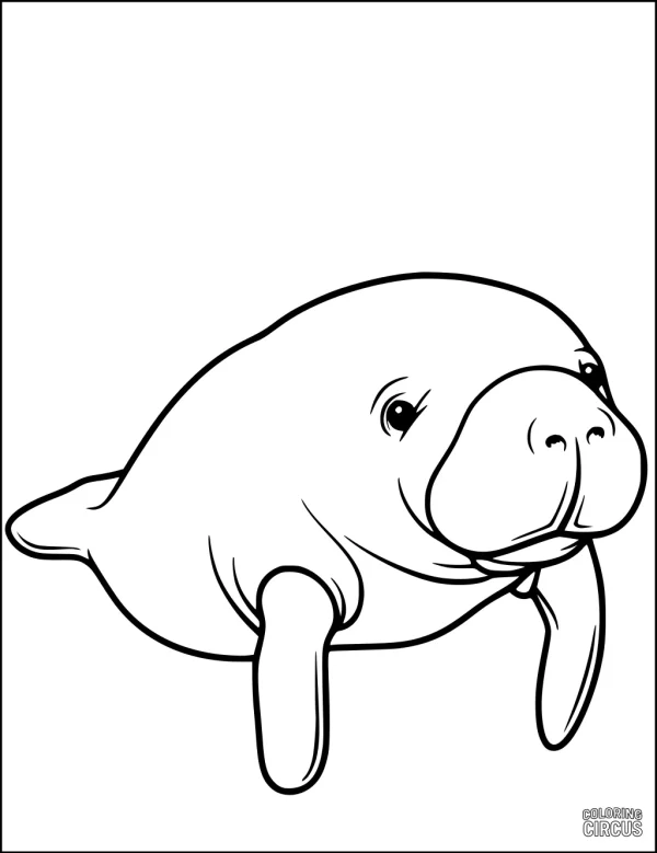 Coloring page showing a cute manatee underwater, perfect for young children