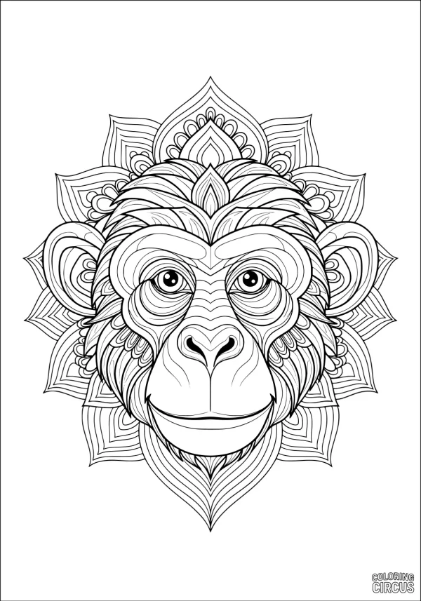 Coloring page featuring a detailed monkey face with decorative mandala patterns