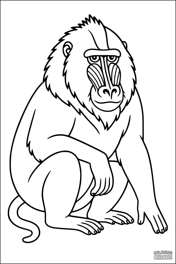 Coloring page featuring a detailed mandrill monkey sitting calmly