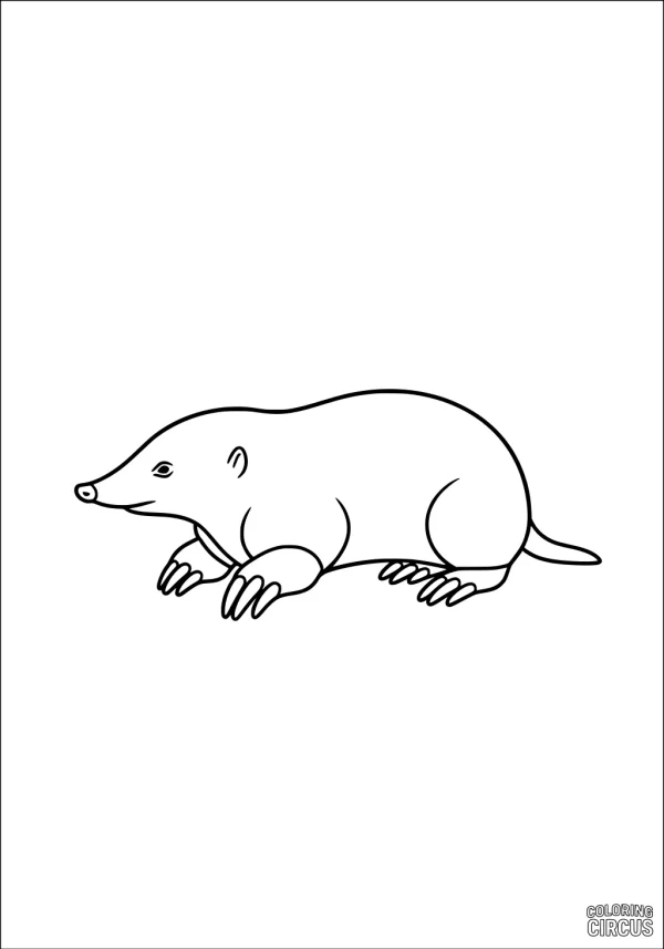 Coloring page of a simple cartoon mole with digging claws