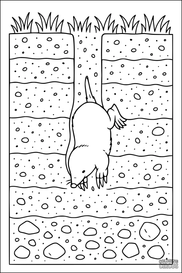 Coloring page showing a mole digging a tunnel underground with soil layers and grass above