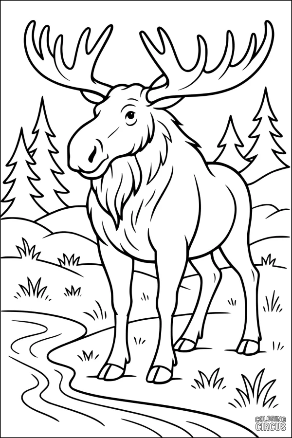 Coloring page featuring a moose standing near a stream with pine trees in the background