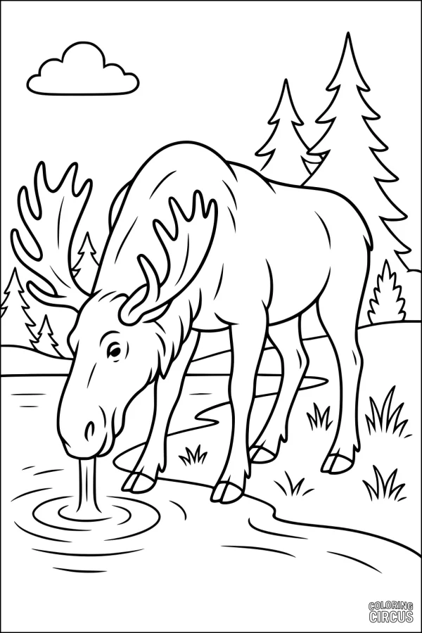 Coloring page showing a moose drinking from a stream in a forest with pine trees and a cloud