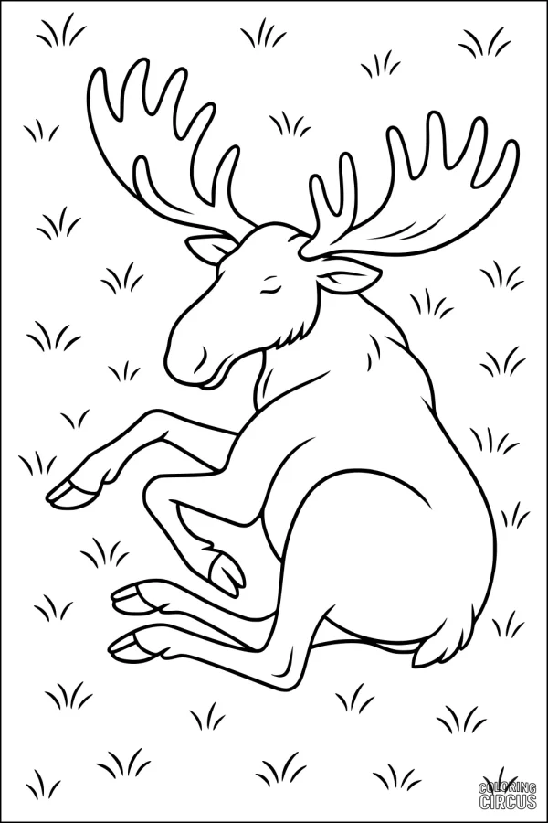 Coloring page of a cute moose lying down and resting among grass tufts